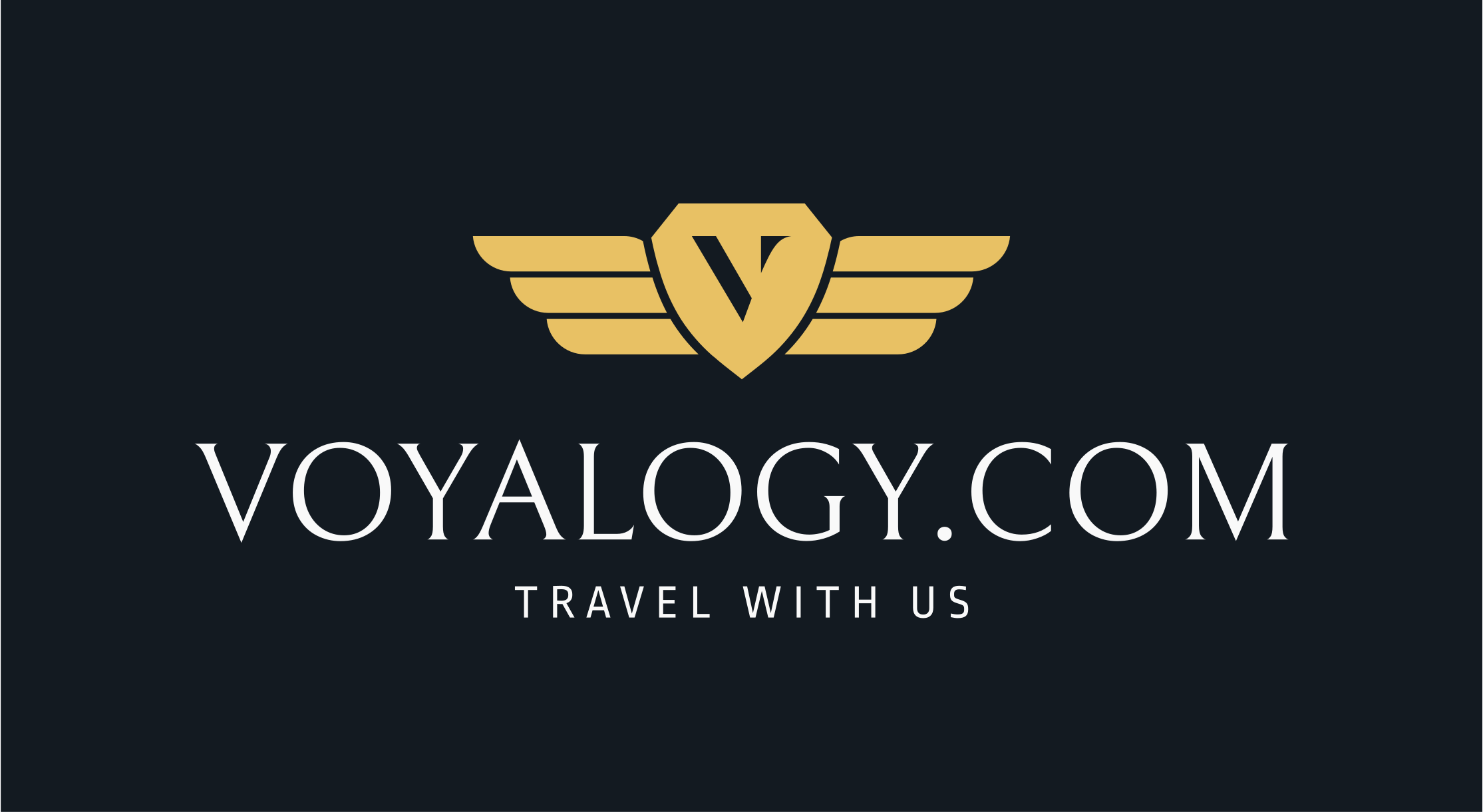 voyalogy.com